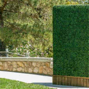Privacy Screens at Wayfair: from $32