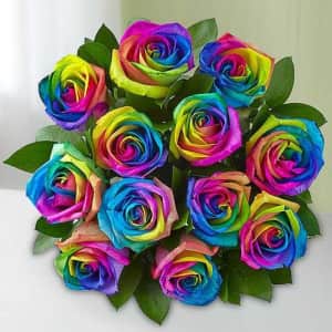 1-800-Flowers Kaleidoscope Roses: from $50