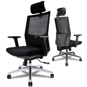 Diouseas Ergonomic Desk Chair for $147 Diouseas Ergonomic Desk Chair for $147