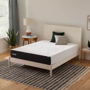 Lucid Mattress Spring Cleaning Sale: Up to 20% off sitewide