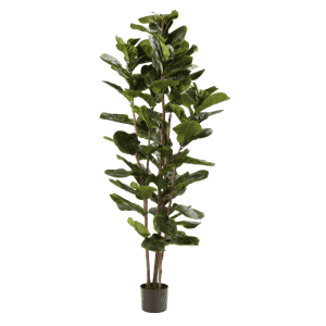 Artificial Plants and Plant Panel Deals at Home Depot: Up to 50% off