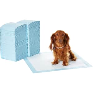 Amazon Basics Dog and Puppy Pee Pads 150-Pack for $29