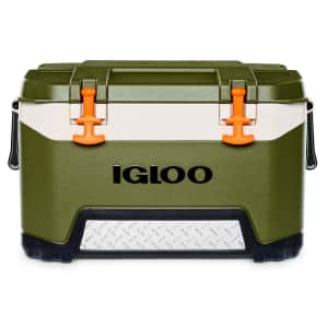 Igloo Coolers & Cooler Bags at Walmart: Up to 30% off
