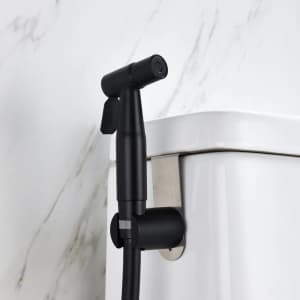 Interbath Hand Held Bidet Accessory for $49