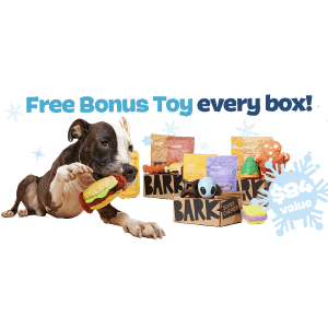 BarkBox 6-Month Super Chewer Subscription w/ Extra Toy Per Month: $29/Box