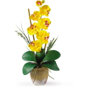 Nearly Natural Silk Orchid Arrangement for $29