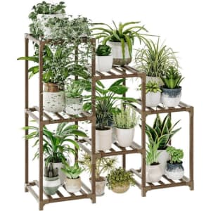 Walmart Spring Plants & Planters Sale: Up to 60% off Walmart Spring Plants & Planters Sale: Up to 60% off