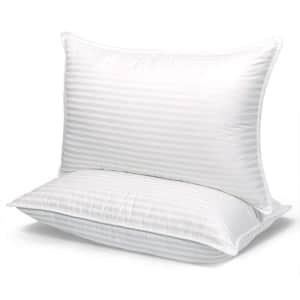 Cozinoor Cozy Dream Series Pillow 2-Pack for $18