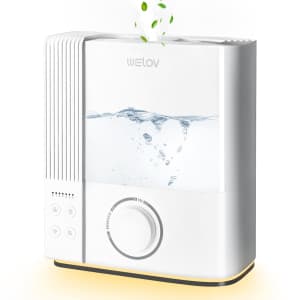 6L Cool Mist Humidifier for $20 6L Cool Mist Humidifier for $20