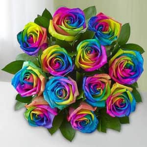Kaleidoscope Roses from $55