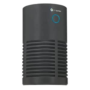 Guardian Technologie Germ Guardian True HEPA Filter Air Purifier for Home, Office, Bedrooms, Filters Allergies, Pollen, for $91