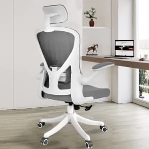 Sichy Age Ergonomic Mesh Office Chair for $100
