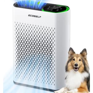 Ecoself Air Purifier for $49