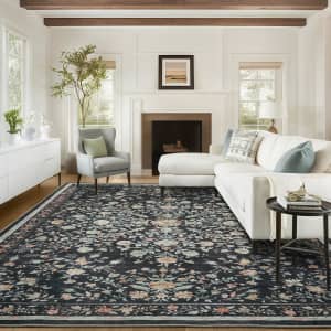 Amada Homefurnishing 8x10 Washable Area Rug for $65