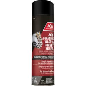 Ace 17.5-Oz. Aerosol Wasp and Hornet Killer for $3 Ace 17.5-Oz. Aerosol Wasp and Hornet Killer for $3