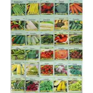 Valley Greene Deluxe Heirloom Vegetable Garden Seeds 30-Pack for $10