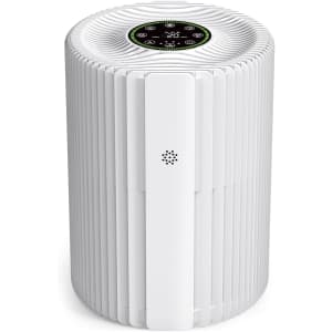 Kruoolis True H13 HEPA Air Purifier for $20