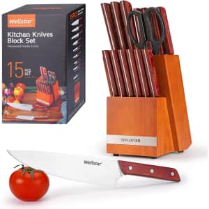 Wellstar 15-Piece Stainless Steel Kitchen Knife Set w/ Wooden Block & Shears for $40