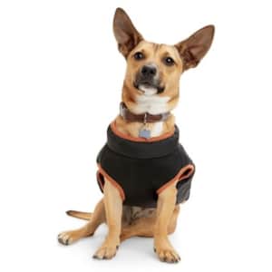 Reddy Dog Coats & Jackets at Petco: Up to 50% off