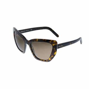 Prada PR 08VS 2AU8C1 Havana Plastic Cat-Eye Sunglasses Brown Lens for $269