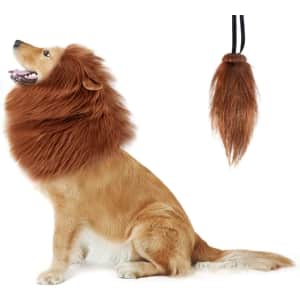 Dog Lion Mane Halloween Costume for $11