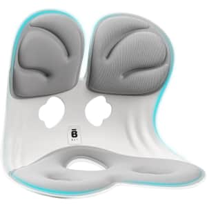 BKT Lumbar Support Seat Cushion for $67