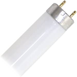Sylvania 15W 18" T8 Fluorescent Bulb for $10