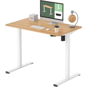 Flexispot 40" x 24" Adjustable Electric Standing Desk for $182