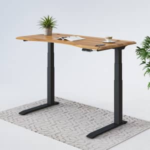 Flexispot Pro Plus Standing Desk from $450 Flexispot Pro Plus Standing Desk from $450