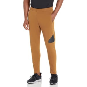 adidas Men's Future Icon Badge of Sport Pants from $12