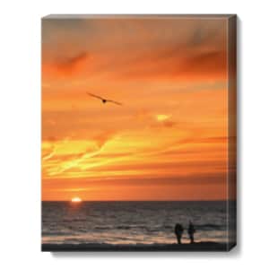 16" x 20" Canvas Print at CVS: for $20 16" x 20" Canvas Print at CVS: for $20