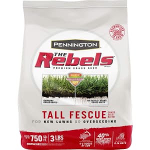 Pennington The Rebels 3-lbs.Tall Fescue Grass Seed Blend for $8 Pennington The Rebels 3-lbs.Tall Fescue Grass Seed Blend for $8