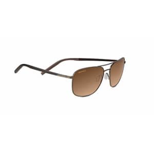 Serengeti Spello 8800 Sunglasses -Matte Espresso/Dk Brown with Drivers Gradient Lenses for $235