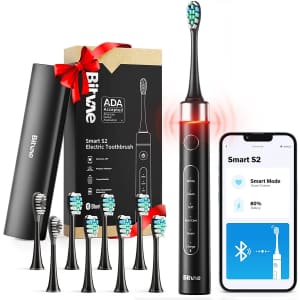 Bitvae Sonic Electric Toothbrush for $250