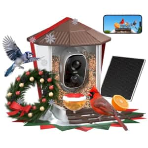 WansView 2K 2.4G Smart Solar-Powered Bird Feeder for $40 w/ Prime