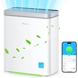 GoveeLife Smart Air Purifier: $64 w/ Prime