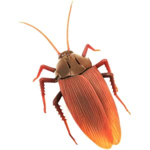 Remote Control Cockroach for $15