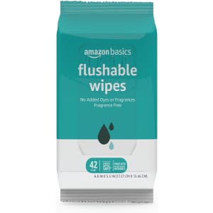 Amazon Basics Flushable Adult Toilet Wipes Multipacks from $4.47 via Sub & Save