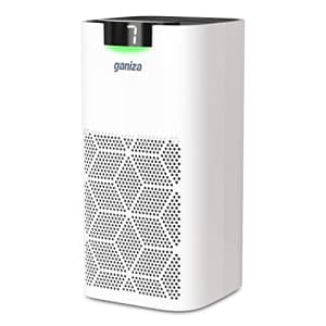 Ganiza Large Room Air Purifier for $40
