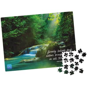 Spin Master 300-Piece Calm Jigsaw Puzzle for $2