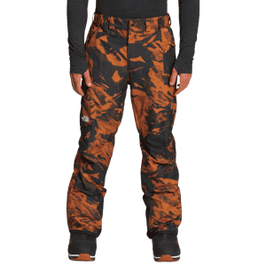 The North Face Men's Freedom Snow Pants for $74
