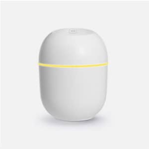 Eahthni Portable Mini Cool Mist Humidifier for $22