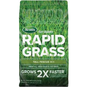 Scotts 5.6-lb. Turf Builder Rapid Grass Tall Fescue Mix for $27