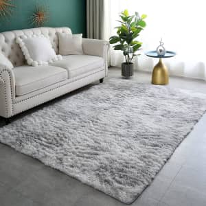 5.3 x 7.5-Foot Area Rug for $22