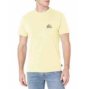 Billabong Men's Short Sleeve Premium Logo Graphic Tee T-Shirt, Beeswax Calm, XL for $25