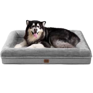 50" x 40" Memory Foam Orthopedic Dog Bed for $40