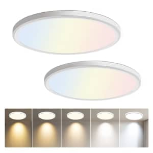 LED Flush Mount 12" Ceiling Light 2-Pack for $19 w/ Prime