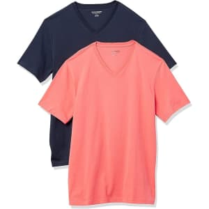 Amazon Essentials Men's Slim-Fit V-Neck T-Shirt 2-Pack for $13