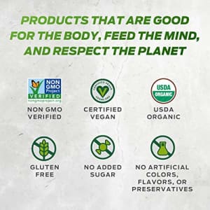 Vega One Organic Meal Replacement Plant Based Protein Powder, Chocolate - Vegan, Vegetarian, Gluten for $141