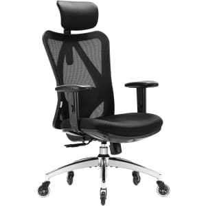 Ergonomic Office Chair with Adjustable Lumbar Support for $91